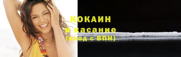 амф Галич
