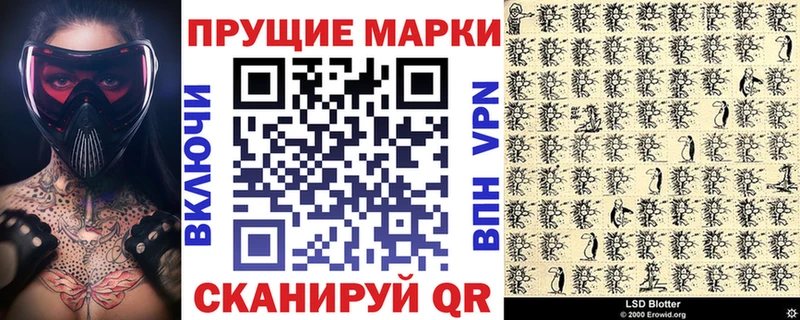 где найти   Гусев  Марки 25I-NBOMe 1,8мг 